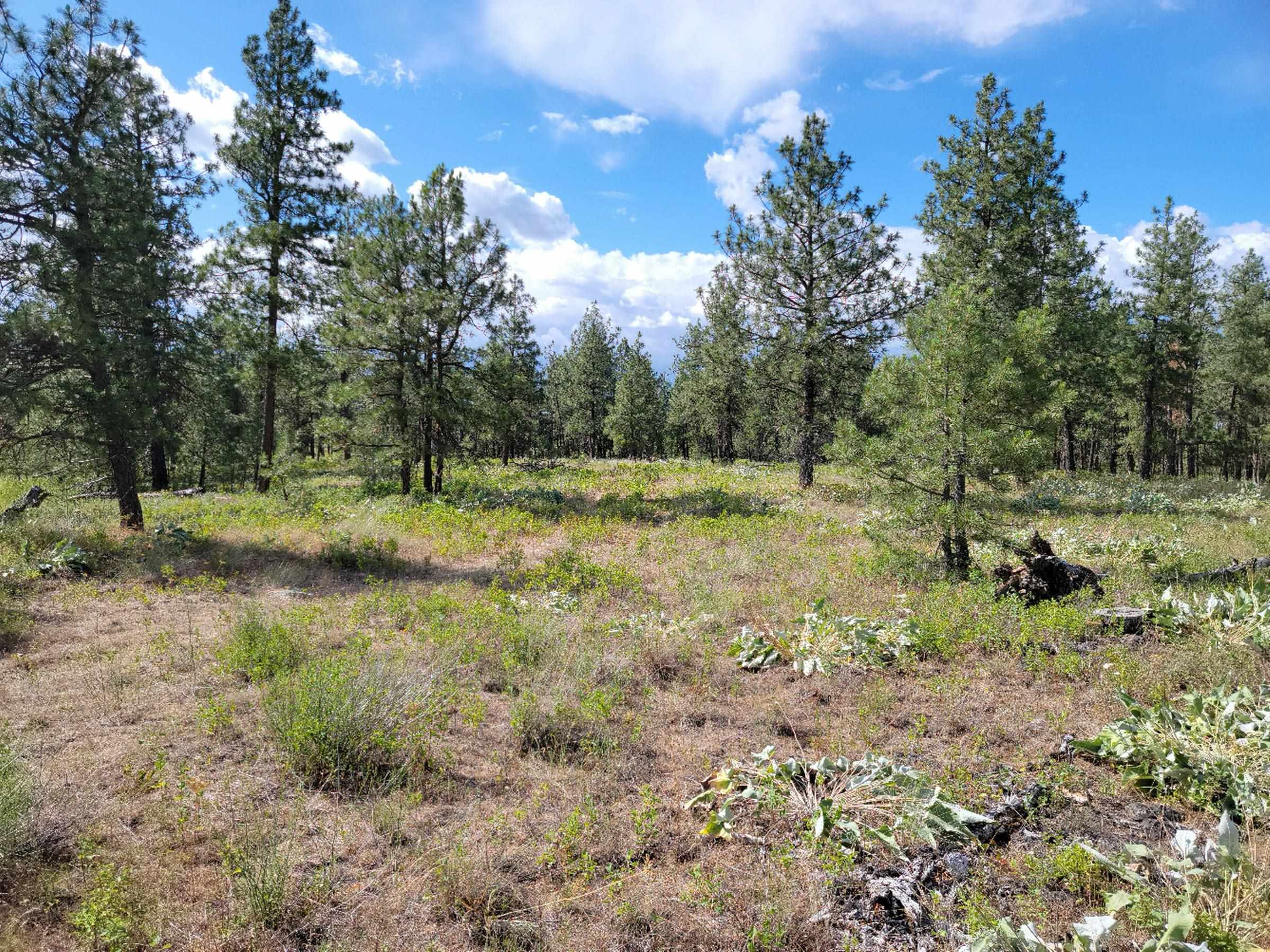18-xx West Paradise Road Spokane, WA 99224 - Photo 11 of 19