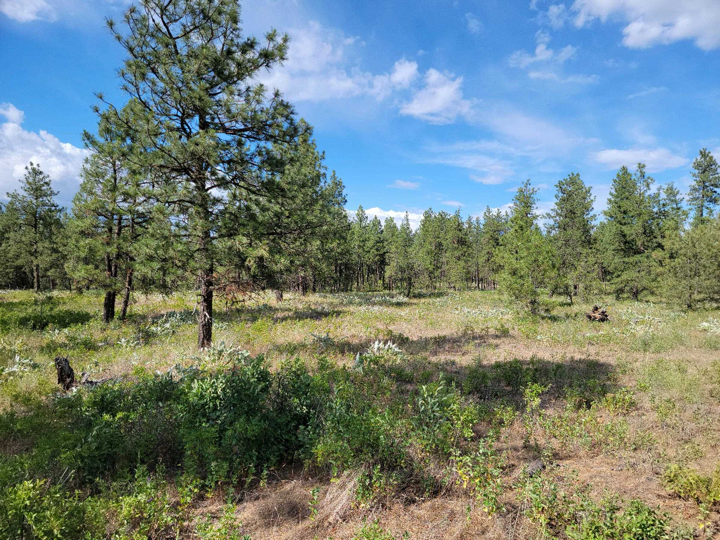 18-xx West Paradise Road Spokane, WA 99224 - Photo 12 of 19