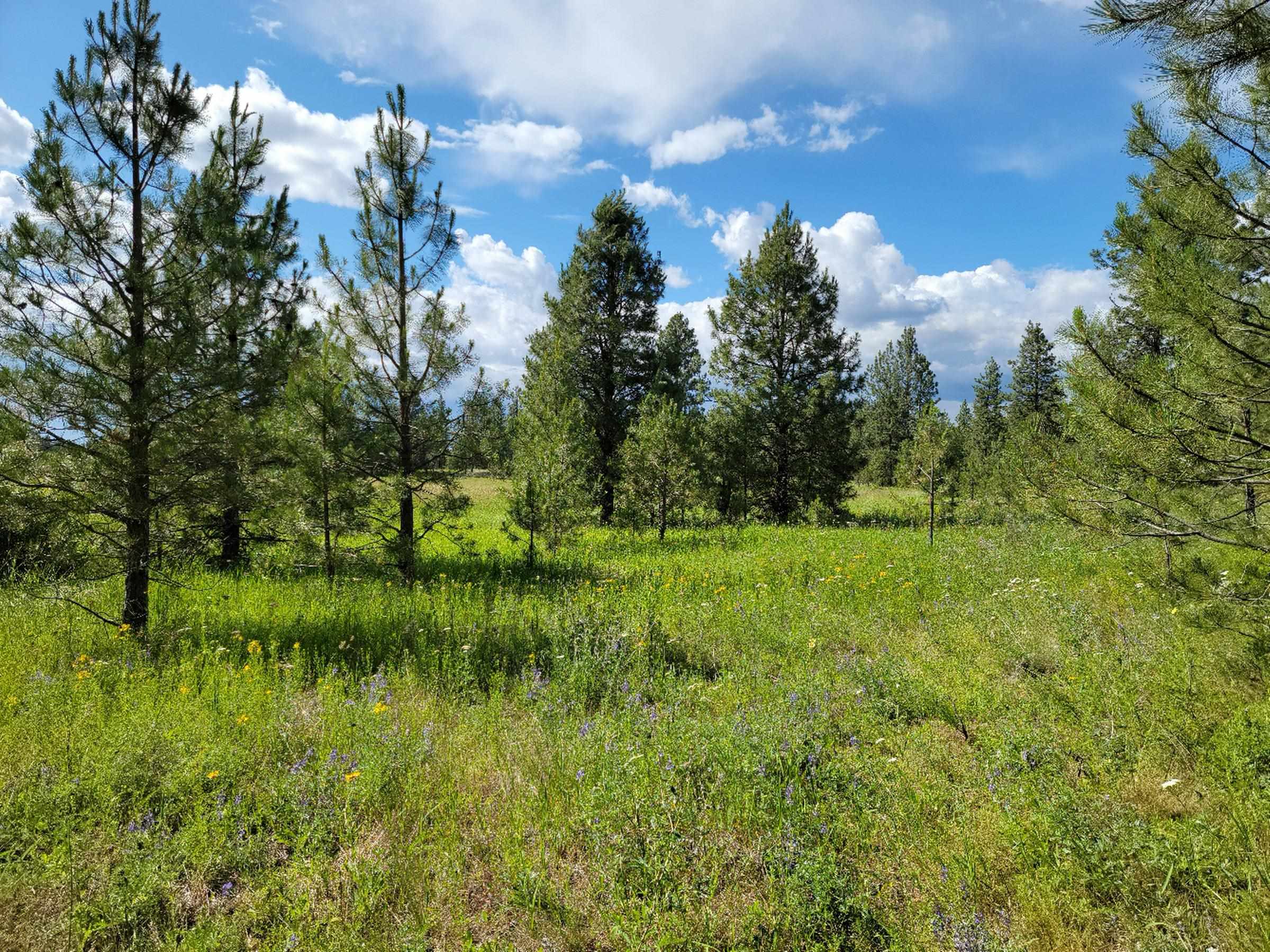 18-xx West Paradise Road Spokane, WA 99224 - Photo 2 of 19