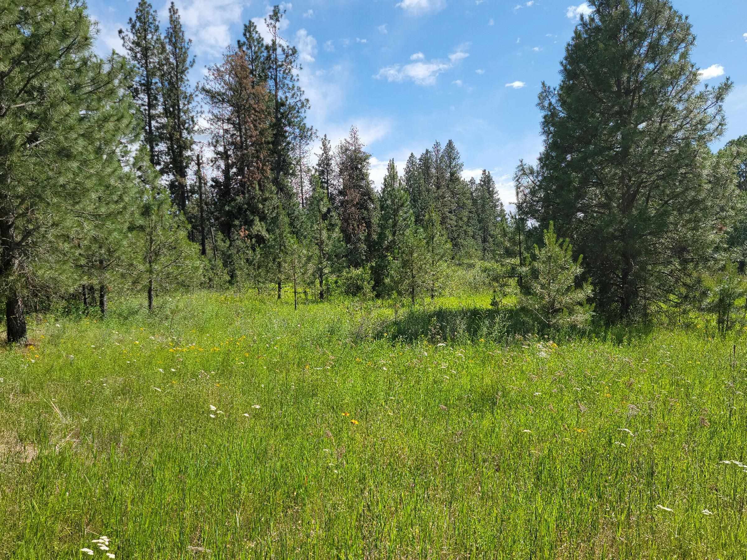 18-xx West Paradise Road Spokane, WA 99224 - Photo 3 of 19
