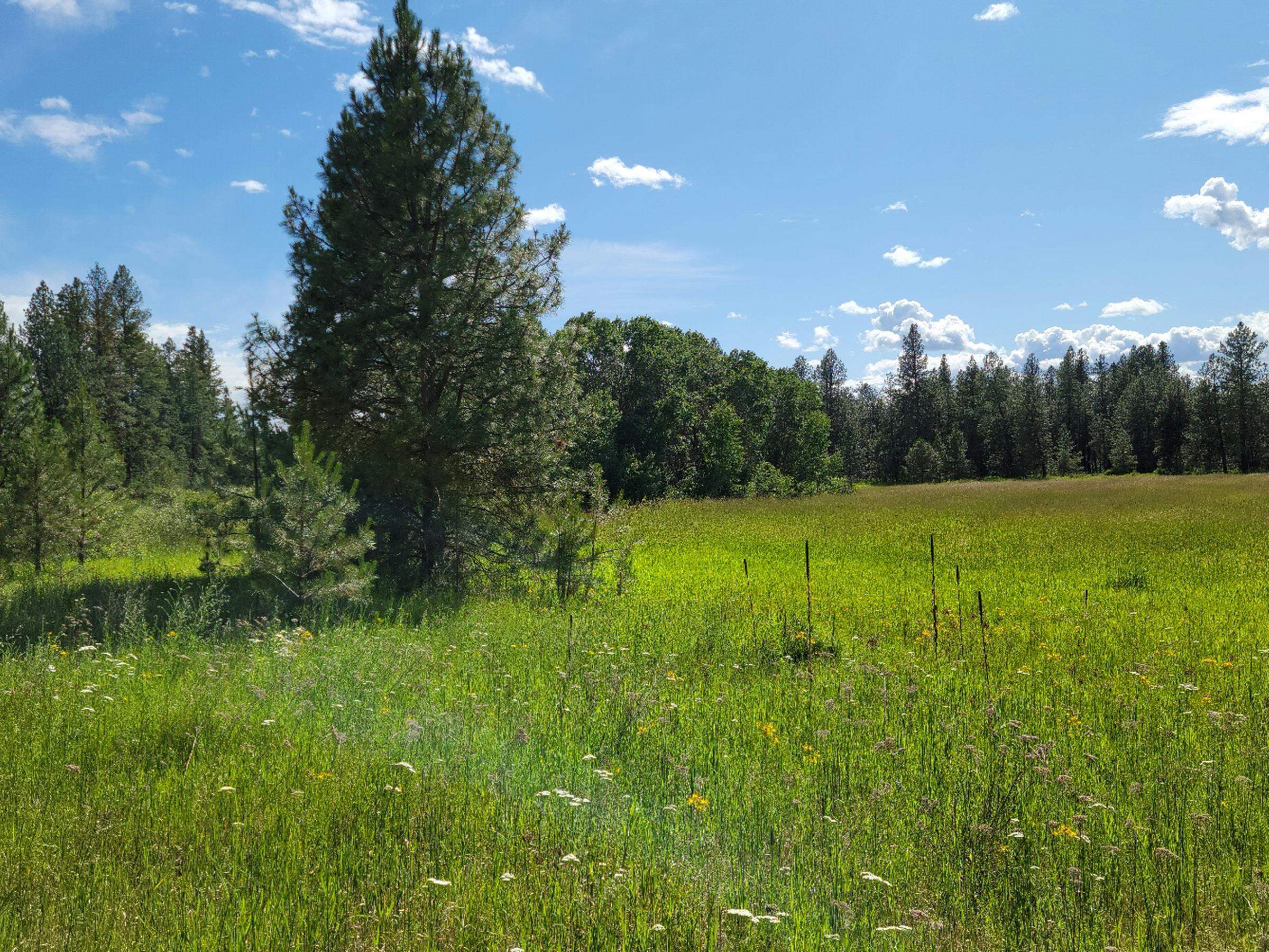18-xx West Paradise Road Spokane, WA 99224 - Photo 4 of 19