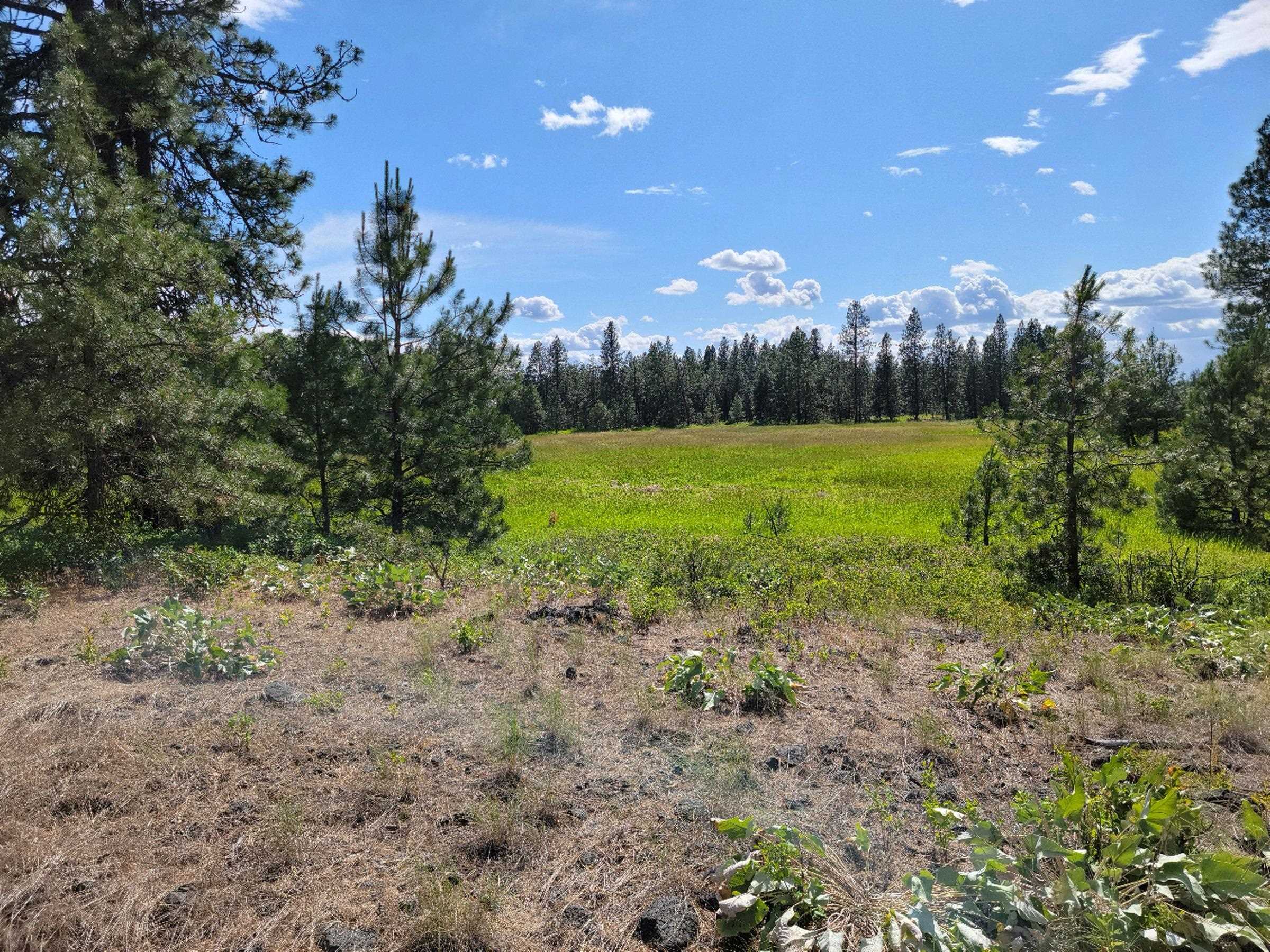 18-xx West Paradise Road Spokane, WA 99224 - Photo 6 of 19