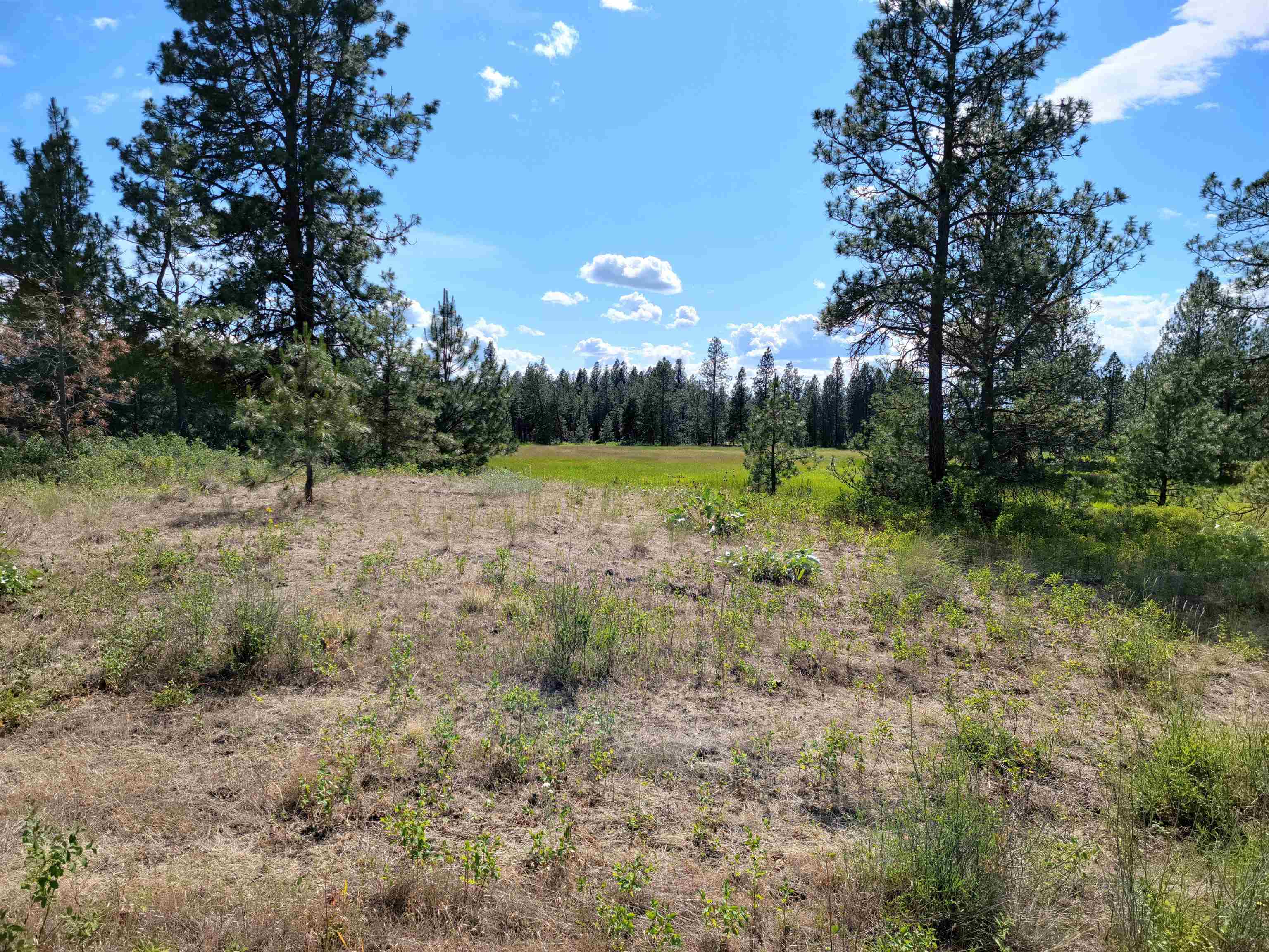 18-xx West Paradise Road Spokane, WA 99224 - Photo 7 of 19