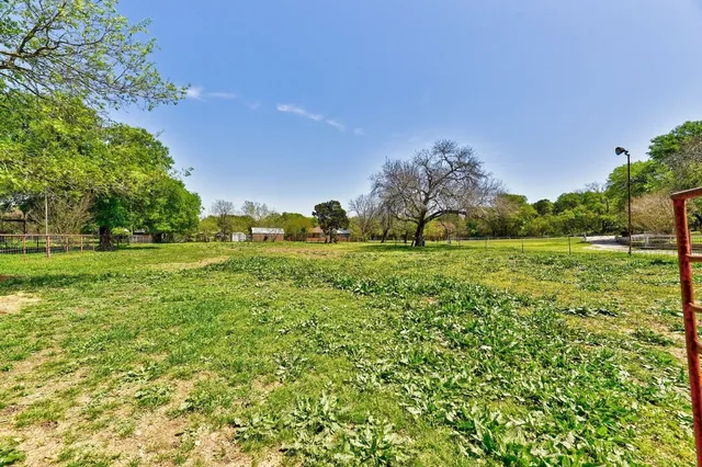 a garden with trees in the background
