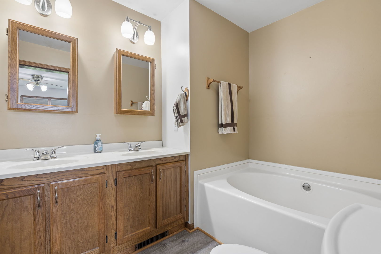 15334 West 3000N Road Essex, IL 60935 - Photo 15 of 42 a bathroom with a tub a sink and mirror