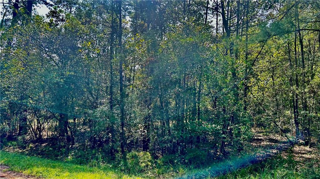 0 Yorktown Drive Slidell, LA 70461 - Photo 2 of 7