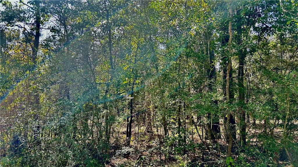 0 Yorktown Drive Slidell, LA 70461 - Photo 3 of 7