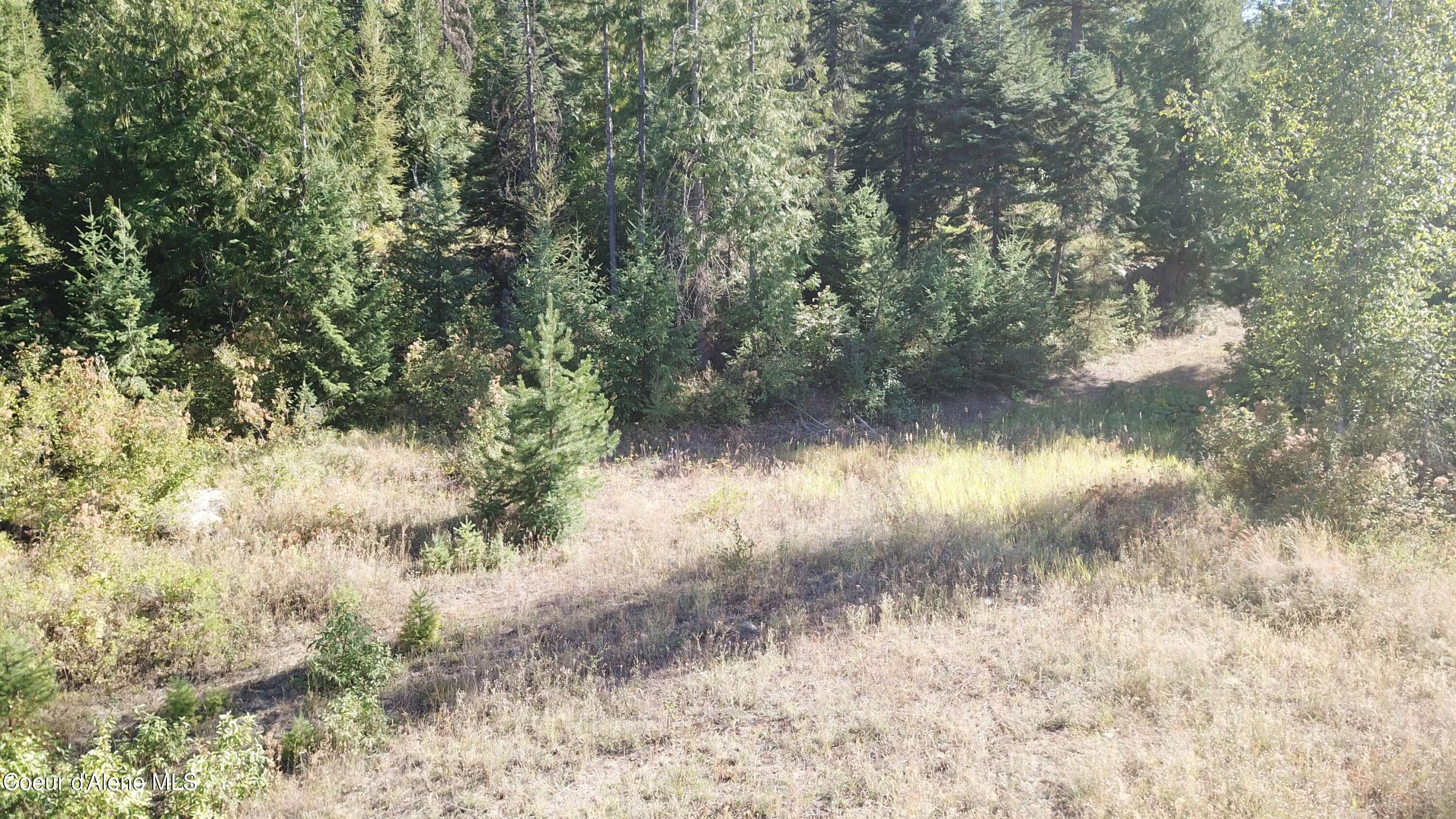 Lot 1 Riverbend Ridge Sagle, ID 83860 - Photo 4 of 10 V22