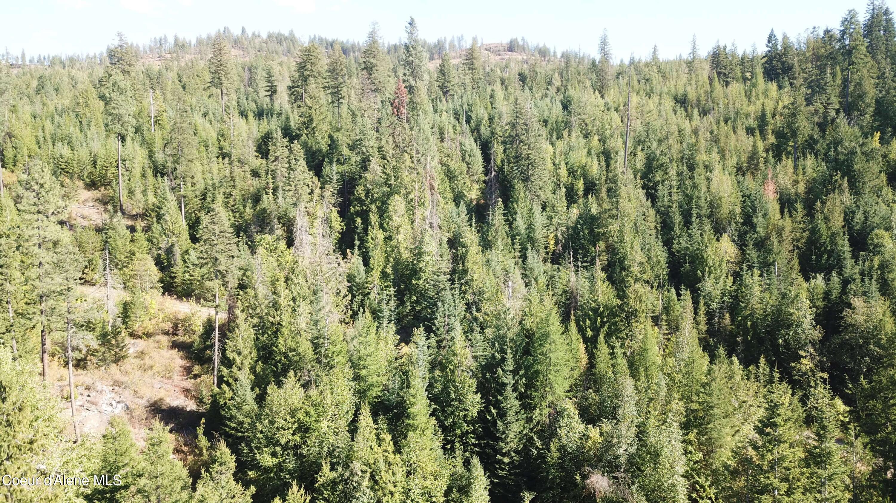 Lot 1 Riverbend Ridge Sagle, ID 83860 - Photo 10 of 10 V24