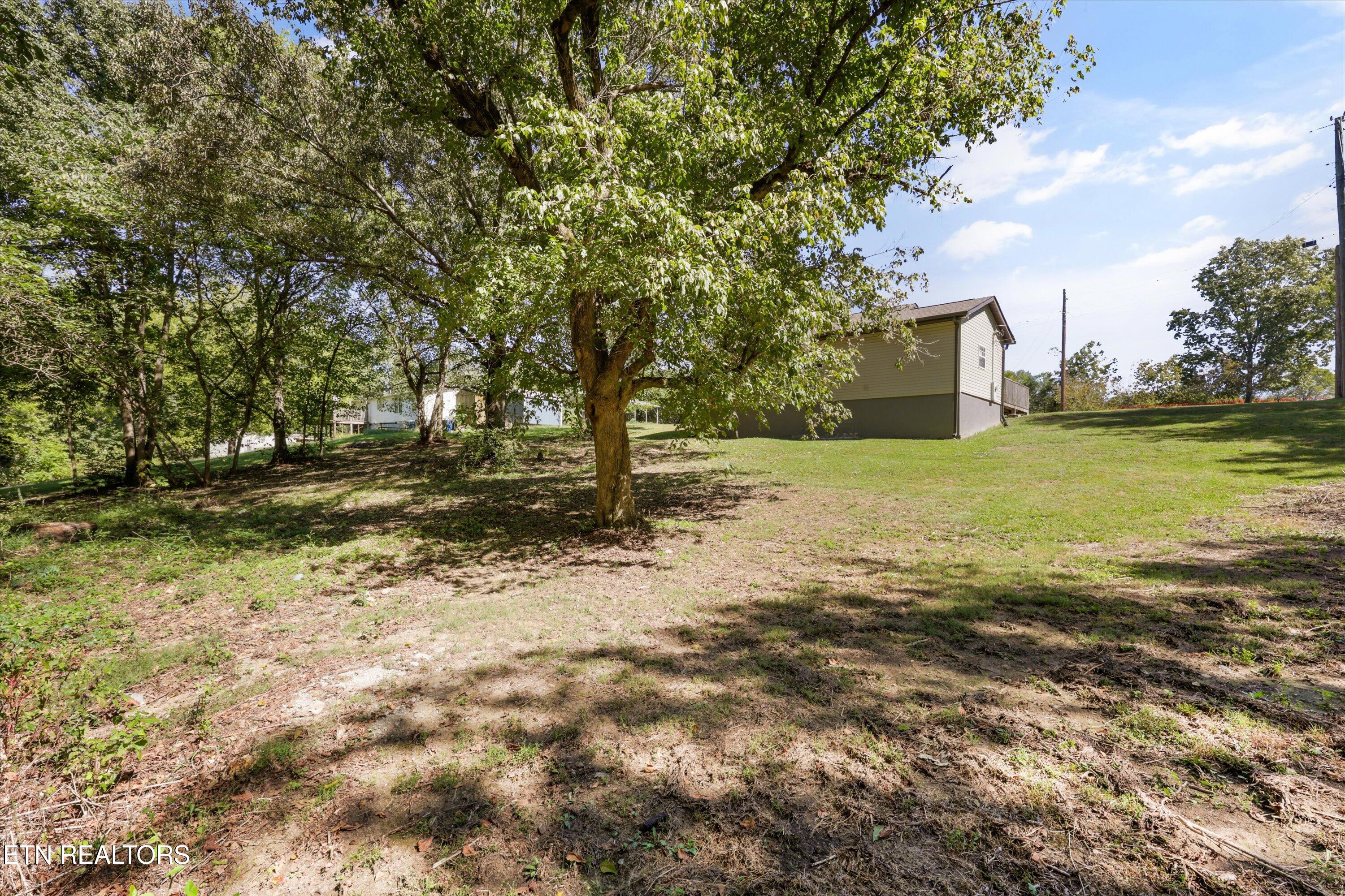 109 Cedar Ridge Road Knoxville, TN 37924 - Photo 26 of 26 Backyard