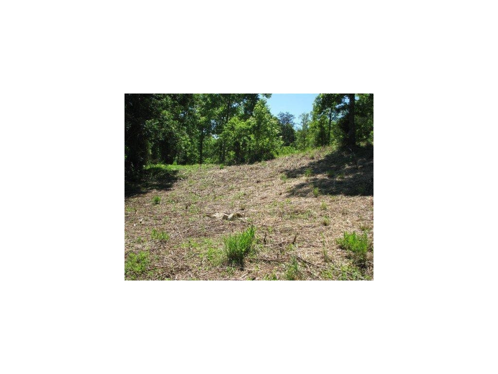 2.9-acres Ferguson Road Sneedville, TN 37869 - Photo 3 of 16 Photo 3