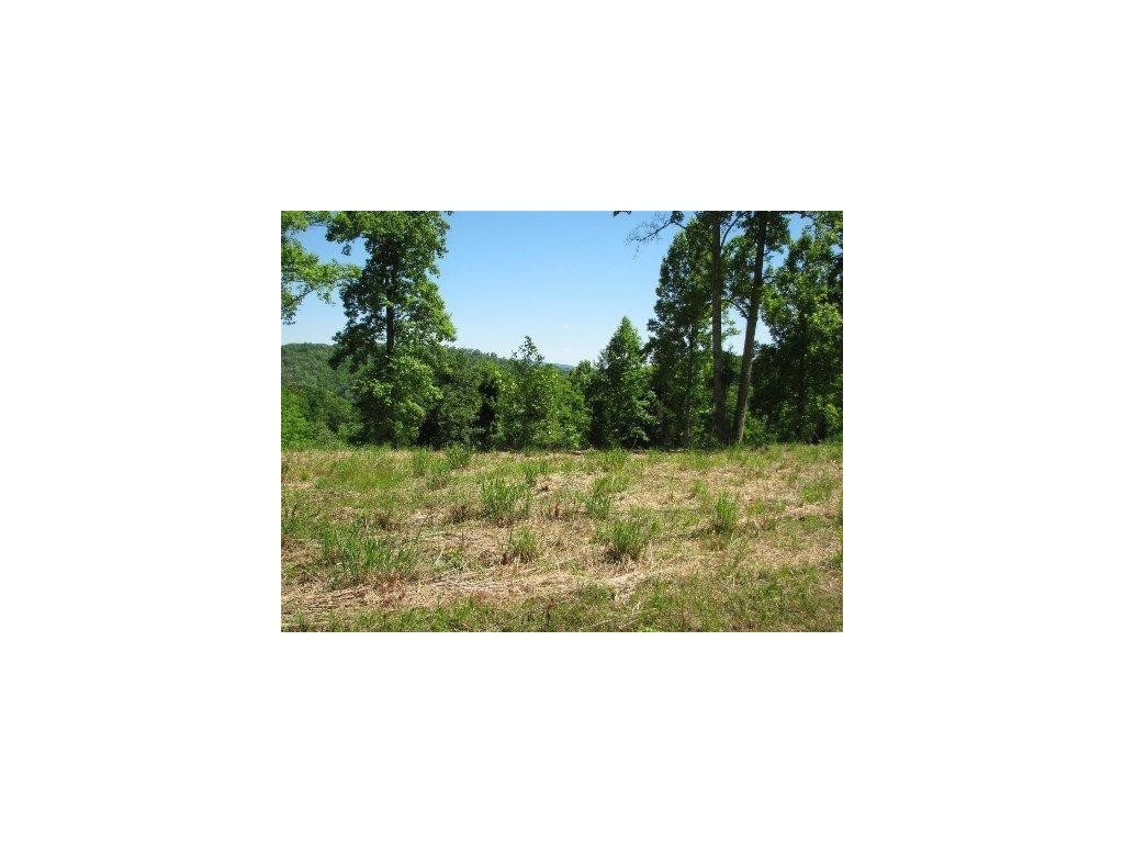 2.9-acres Ferguson Road Sneedville, TN 37869 - Photo 7 of 16 Photo 7