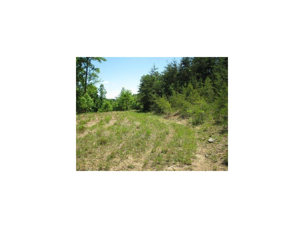 2.9-acres Ferguson Road Sneedville, TN 37869 - Photo 8 of 16 Photo 8