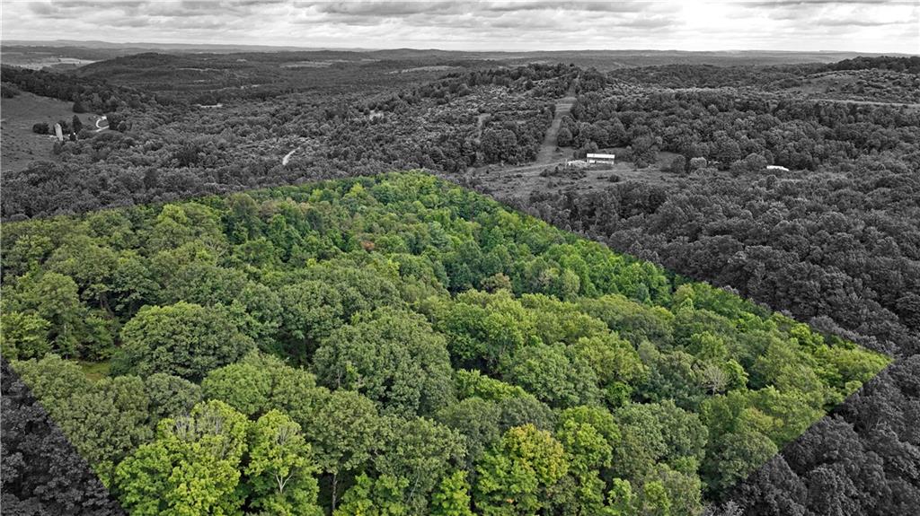 0 Hetzler Road Rochester Mills, PA 15771 - Photo 2 of 12 Gallery Image 2