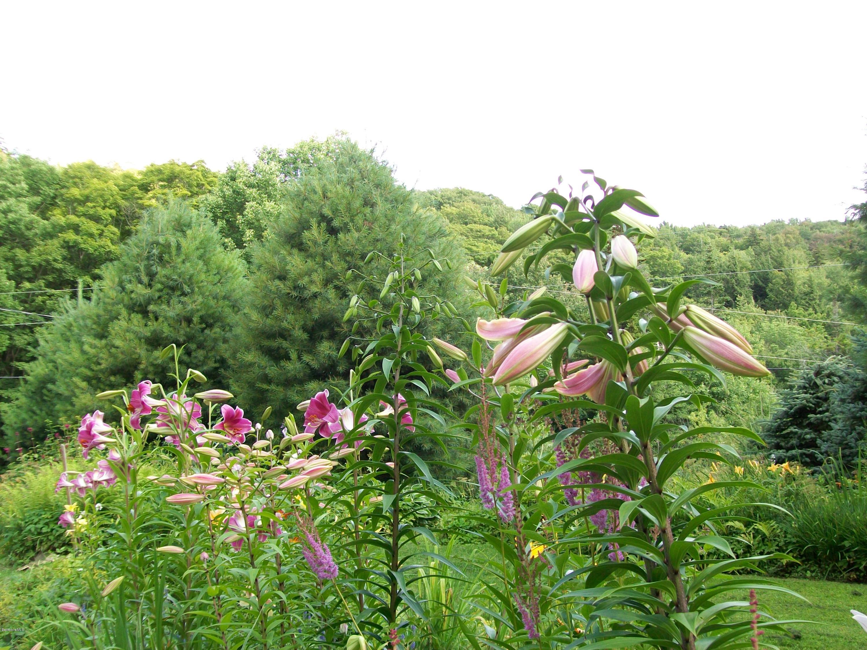 223 Bailey Hill Road Readsboro, VT 05350 - Photo 5 of 42 lovely gardens