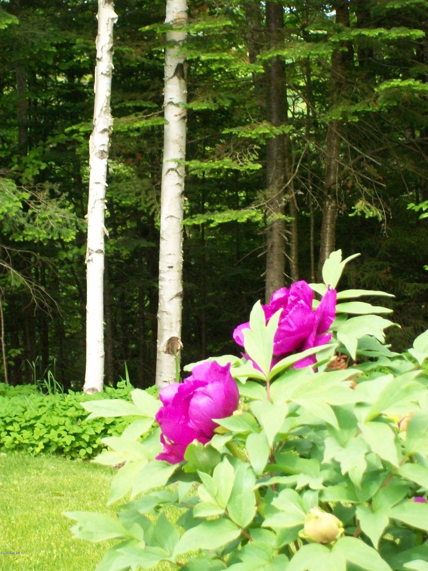 223 Bailey Hill Road Readsboro, VT 05350 - Photo 41 of 42 100_6424