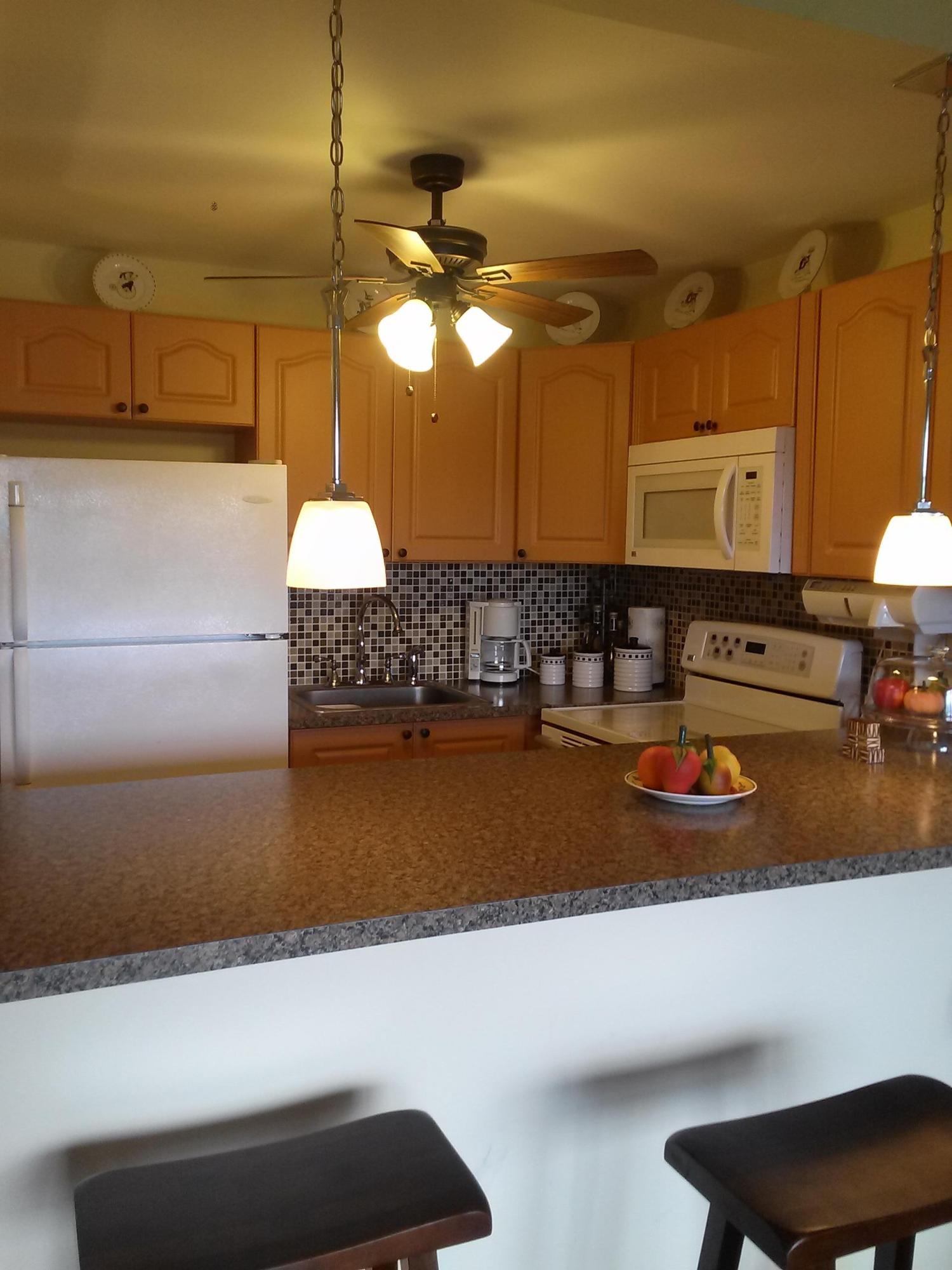 190 Brighton East, Unit E Boca Raton, FL 33434 - Photo 2 of 8 CAM00219--KITCHN 2