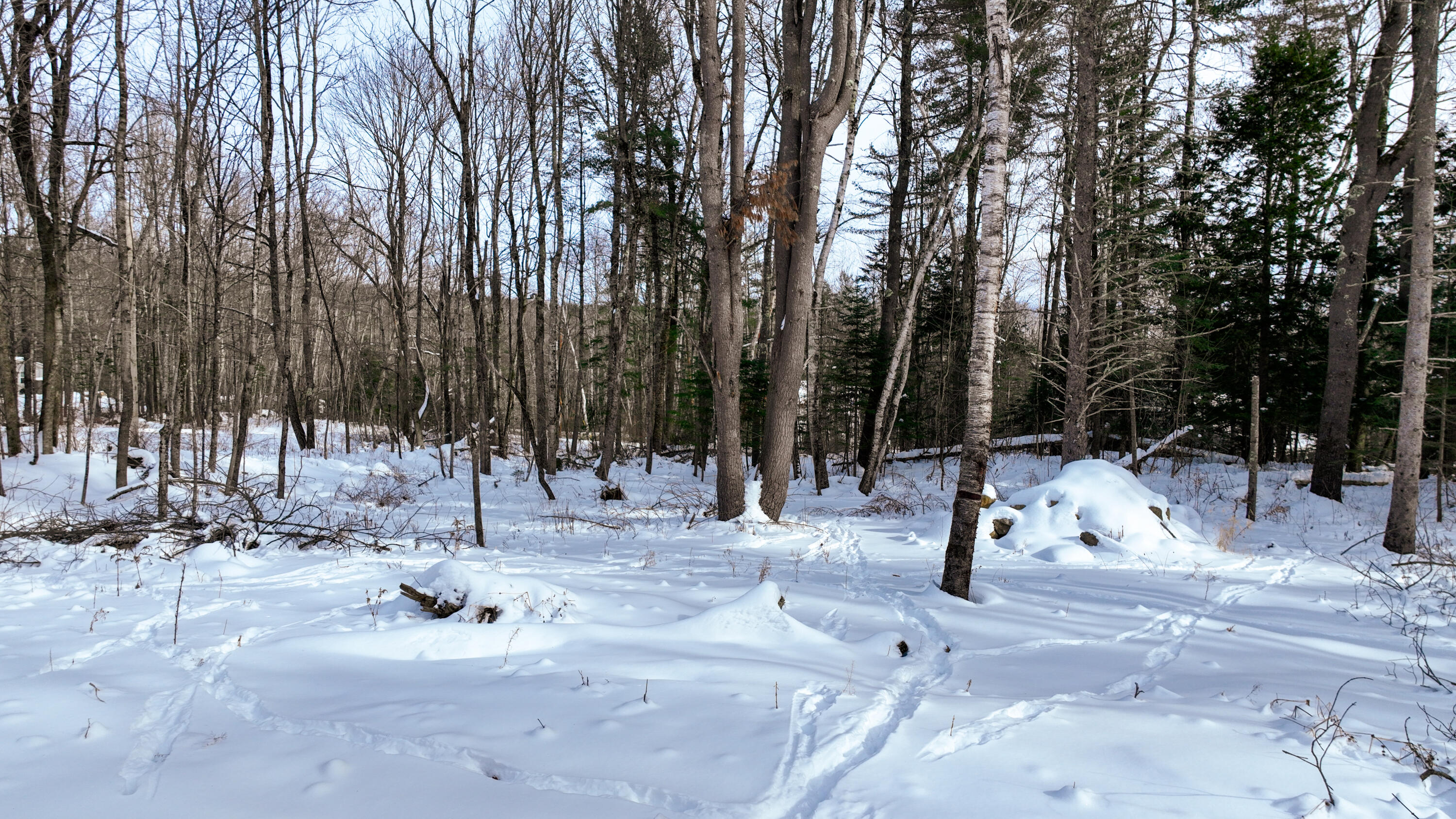 20 Skyscraper Hill Road Brooks, ME 04921 - Photo 2 of 35 dji_fly_20260201_102454_126_177016504288