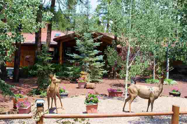 7579 Buck Springs Road Pinetop, AZ 85935 - Photo 1 of 18 Gallery Image 1
