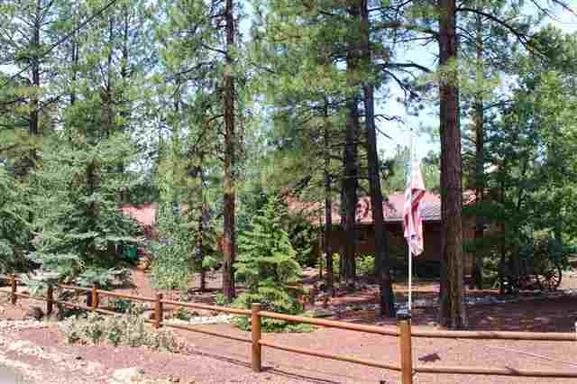7579 Buck Springs Road Pinetop, AZ 85935 - Photo 14 of 18 Gallery Image 14