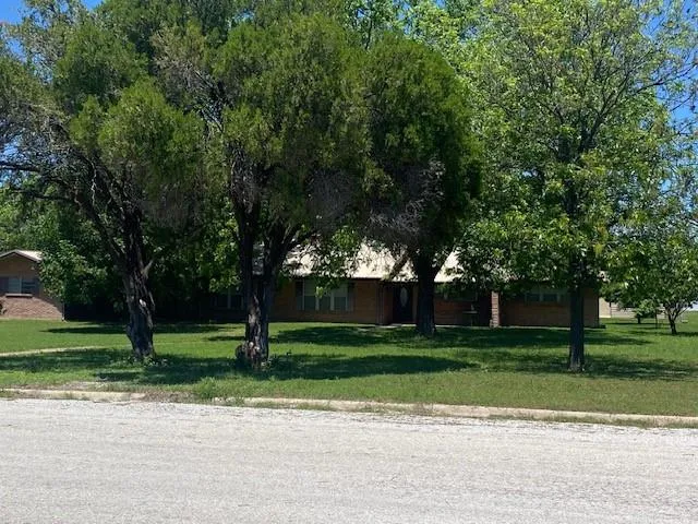 a garden with trees in the background