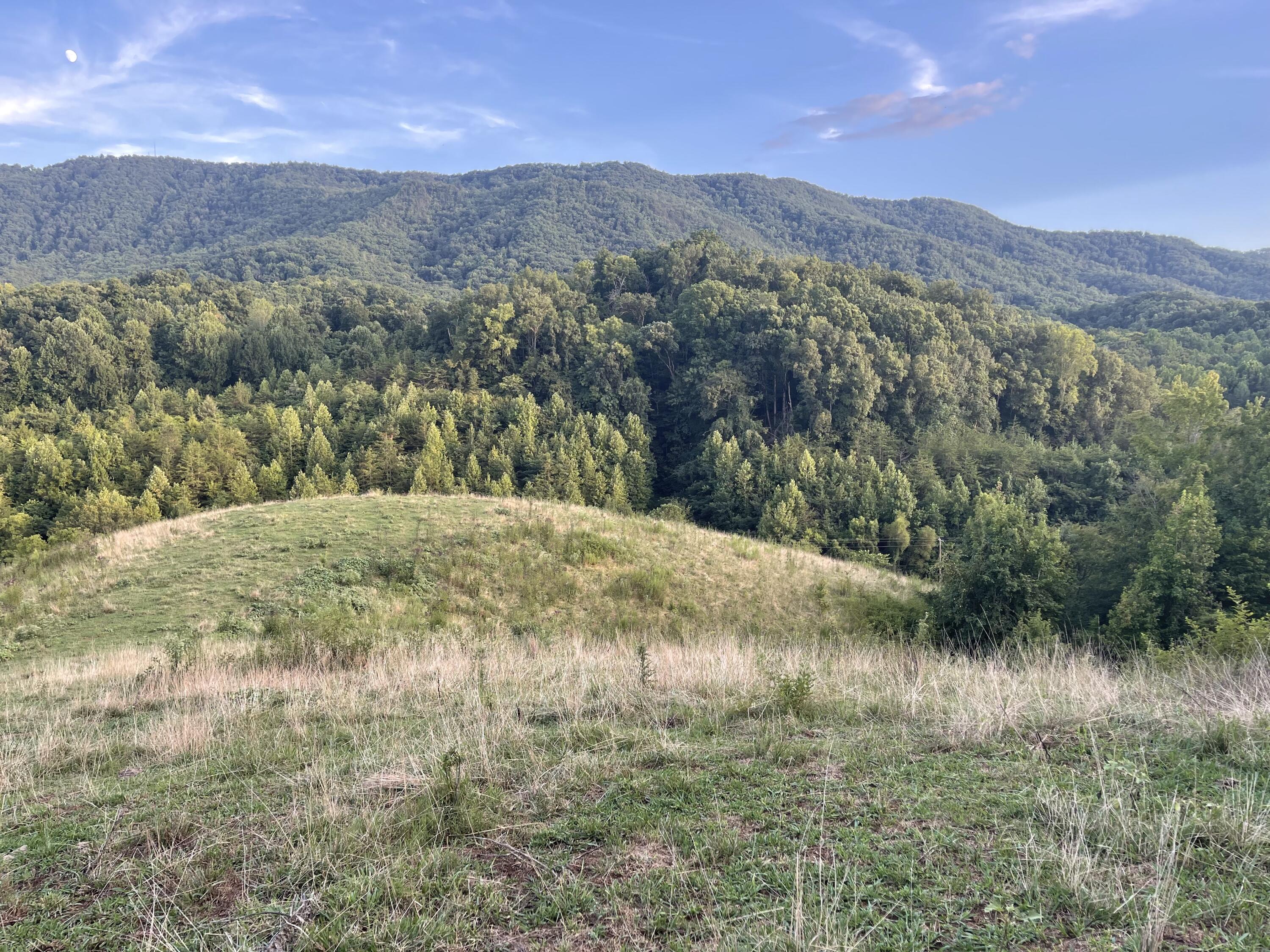 0 Old Chilhowee Road Seymour, TN 37865 - Photo 1 of 34 From top looking down on knoll IMG_1373