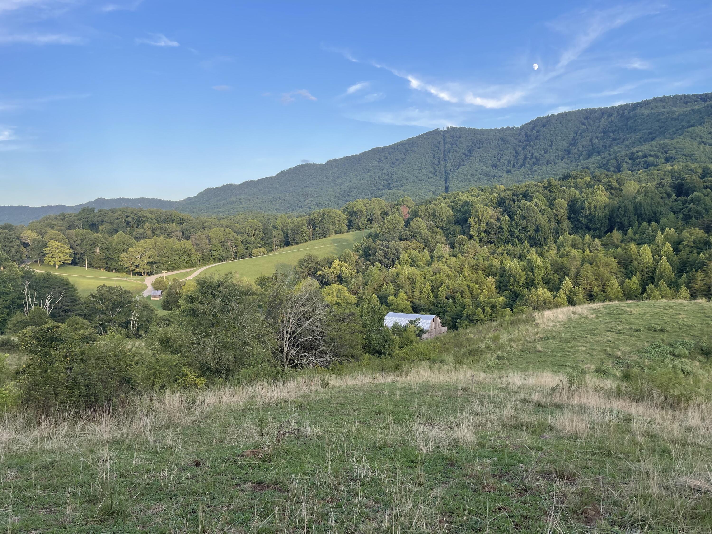 0 Old Chilhowee Road Seymour, TN 37865 - Photo 12 of 34 From top looking toward Seymour 2IMG_137