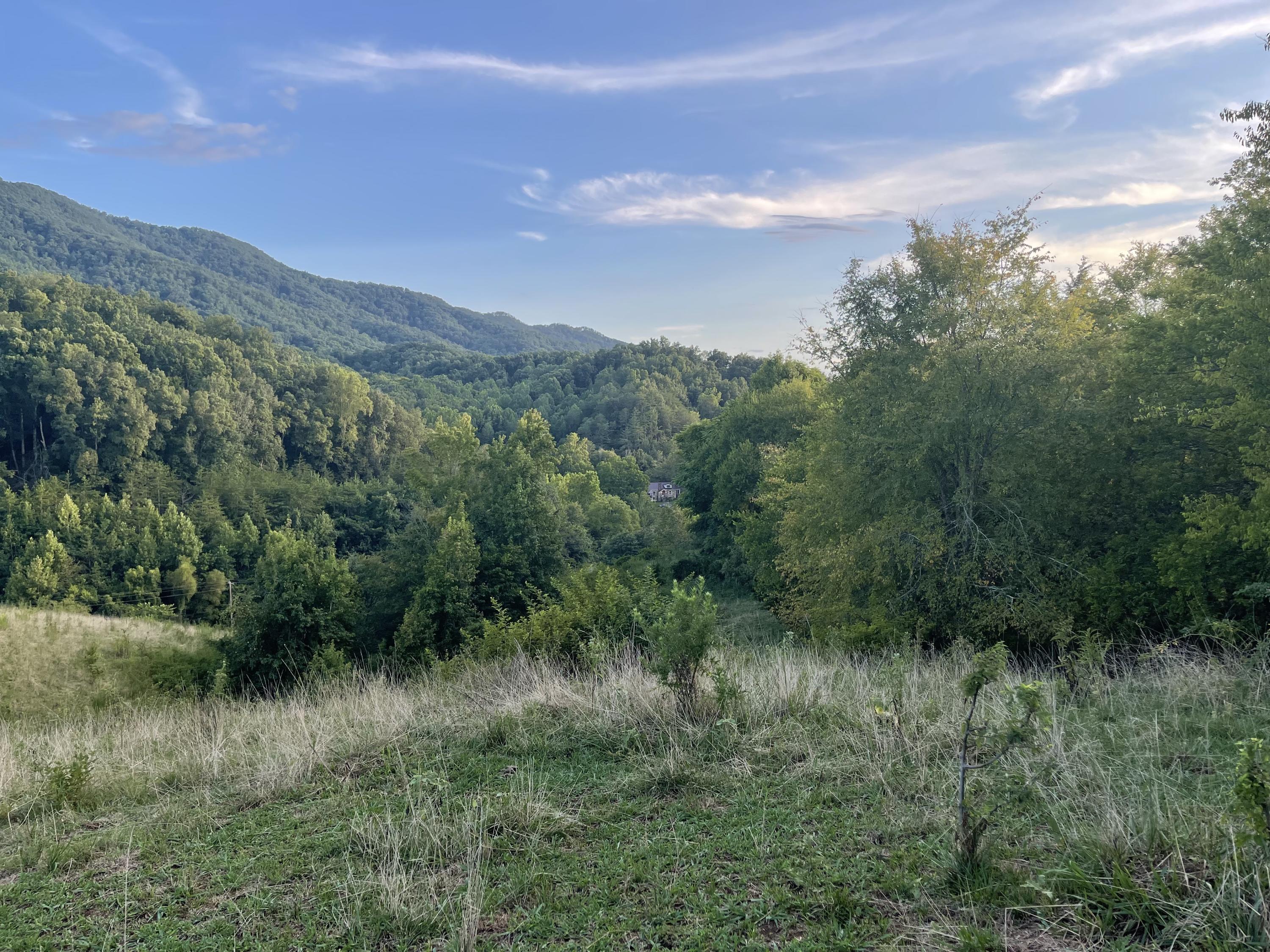 0 Old Chilhowee Road Seymour, TN 37865 - Photo 13 of 34 From Knoll looking toward Townsend IMG_1