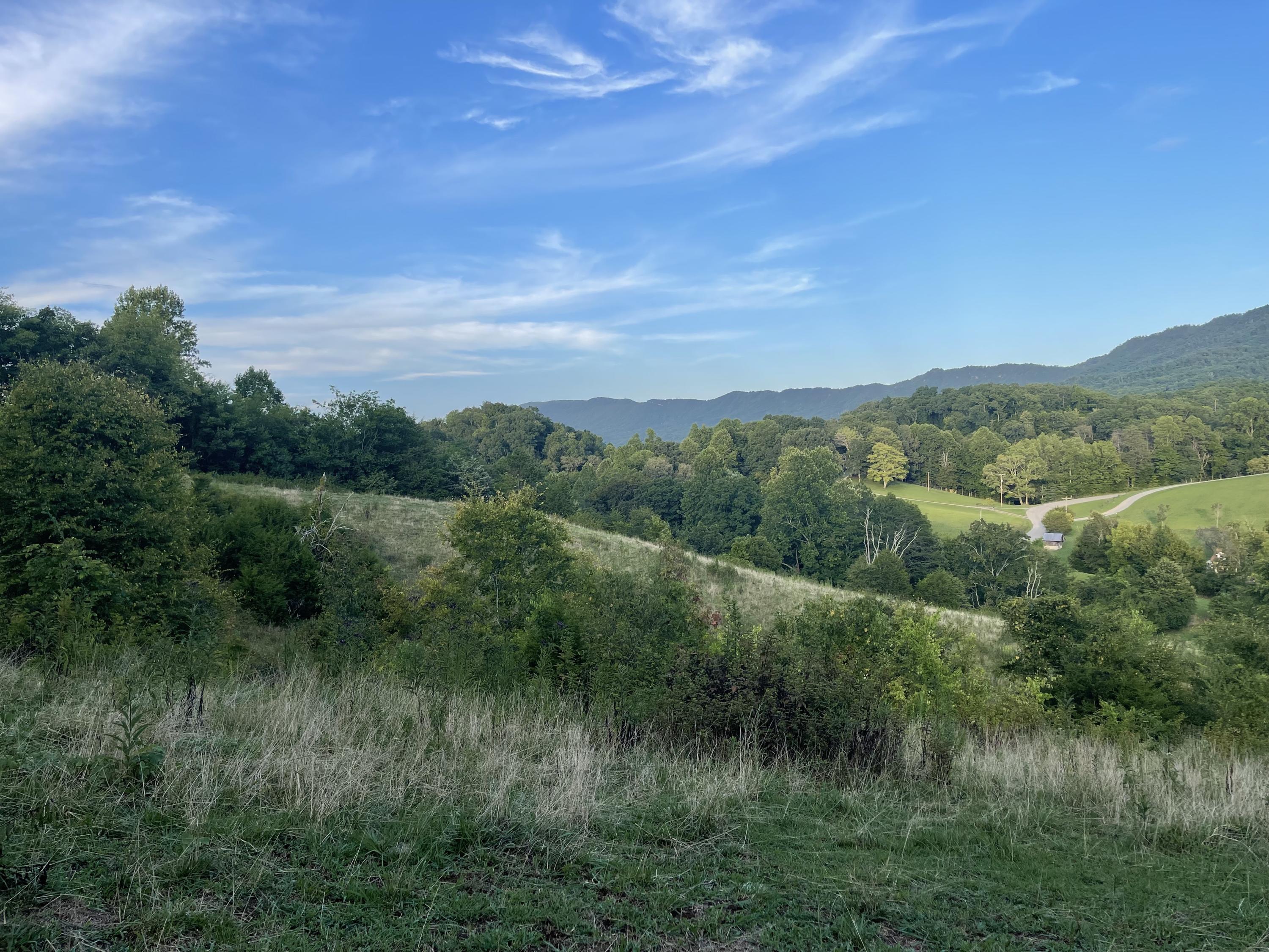 0 Old Chilhowee Road Seymour, TN 37865 - Photo 14 of 34 From Knoll looking toward Seymour IMG_13