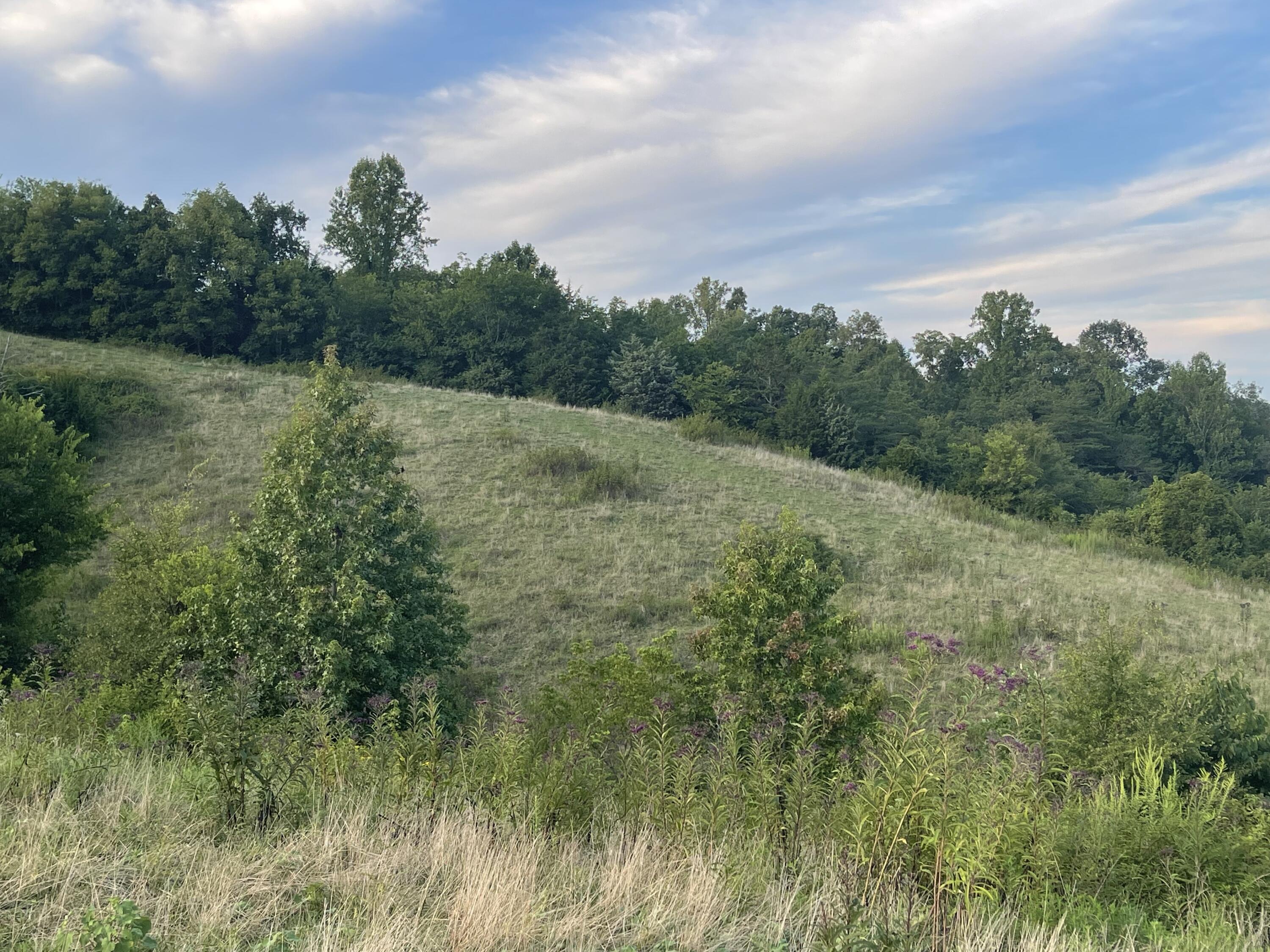 0 Old Chilhowee Road Seymour, TN 37865 - Photo 18 of 34 Front Right Side IMG_1387