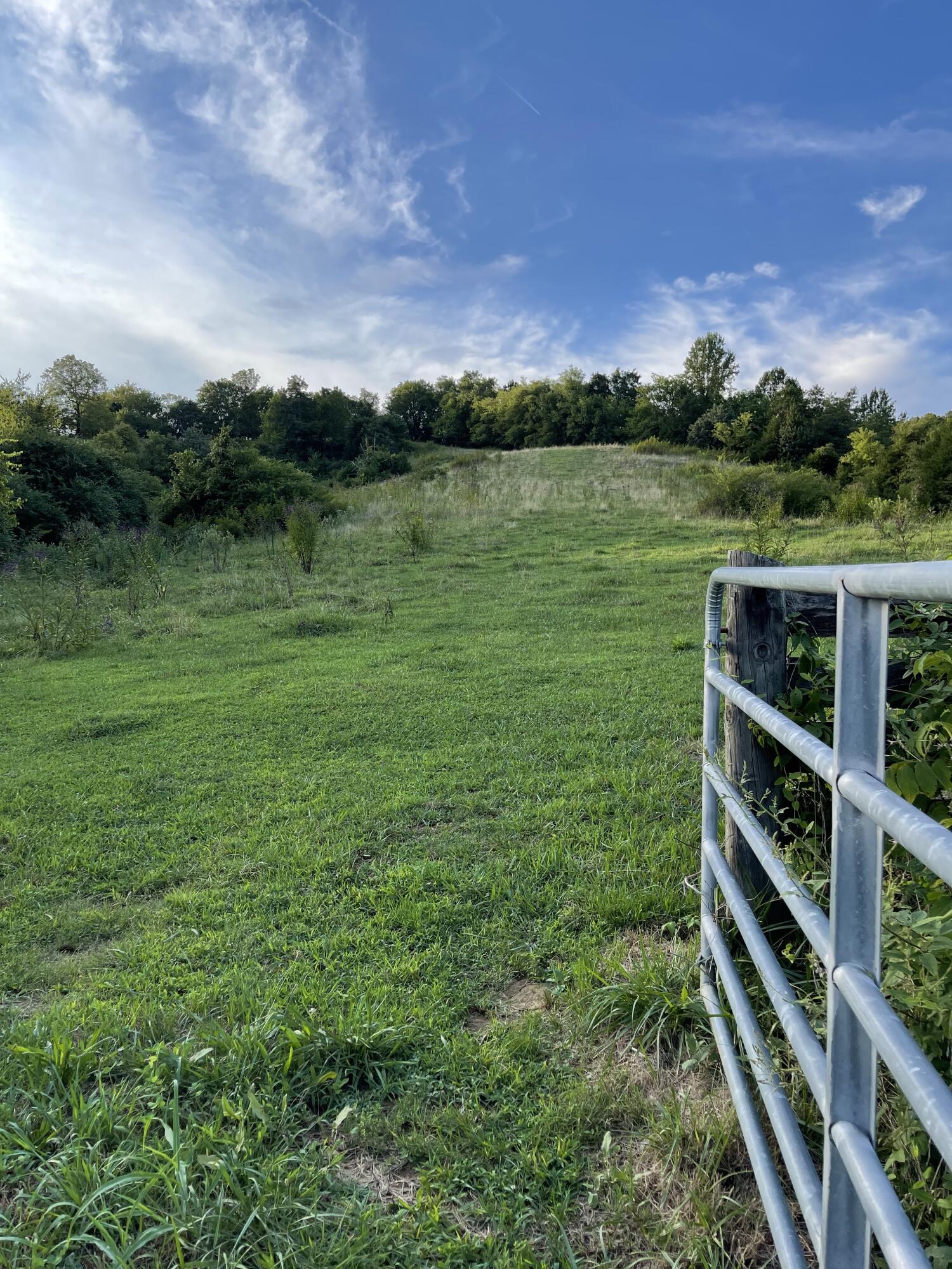 0 Old Chilhowee Road Seymour, TN 37865 - Photo 2 of 34 From gate looking upwards IMG_1343