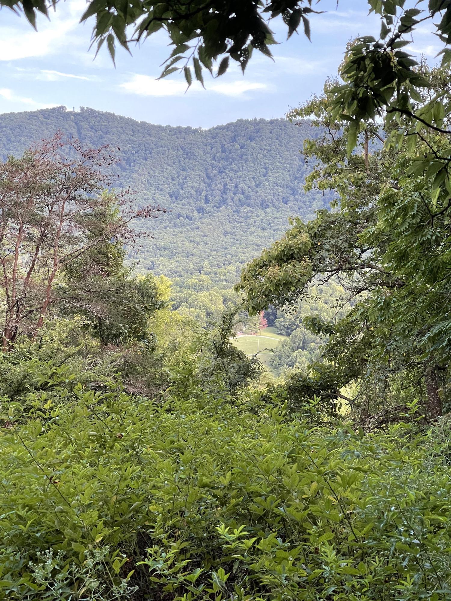 0 Old Chilhowee Road Seymour, TN 37865 - Photo 23 of 34 Back Top View 5 IMG_1396