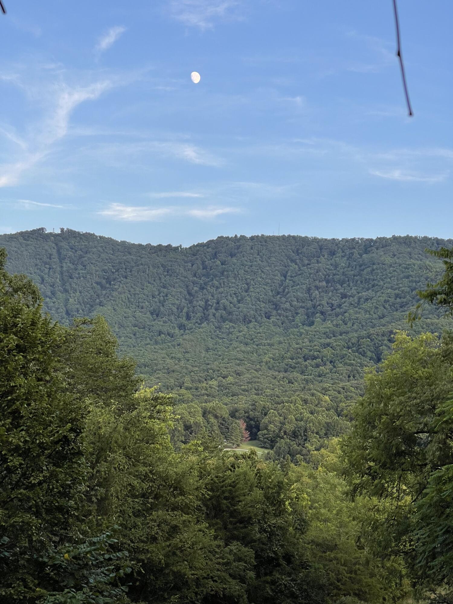 0 Old Chilhowee Road Seymour, TN 37865 - Photo 27 of 34 Back top view IMG_1402