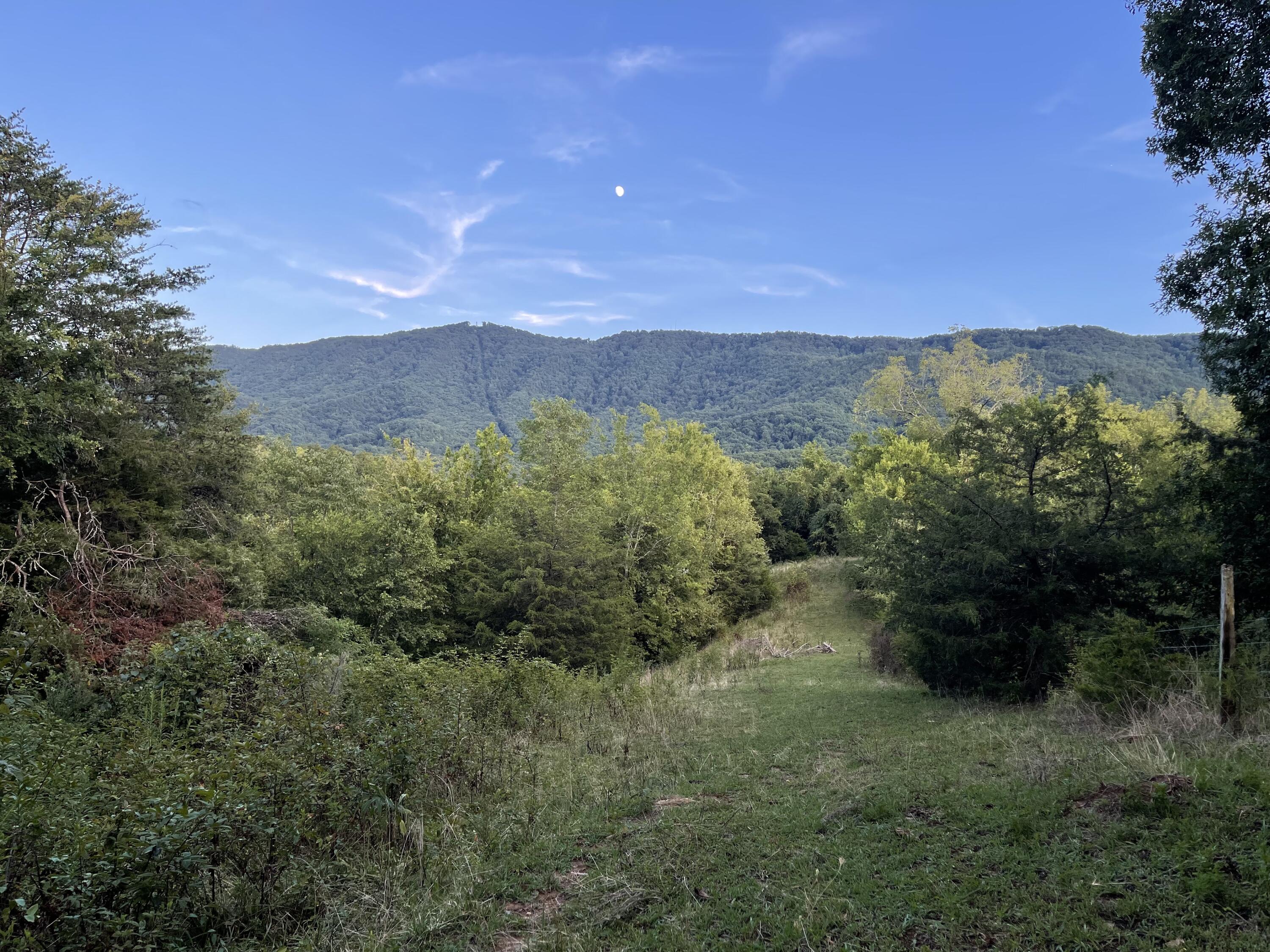 0 Old Chilhowee Road Seymour, TN 37865 - Photo 29 of 34 Back to front view 2 IMG_1404