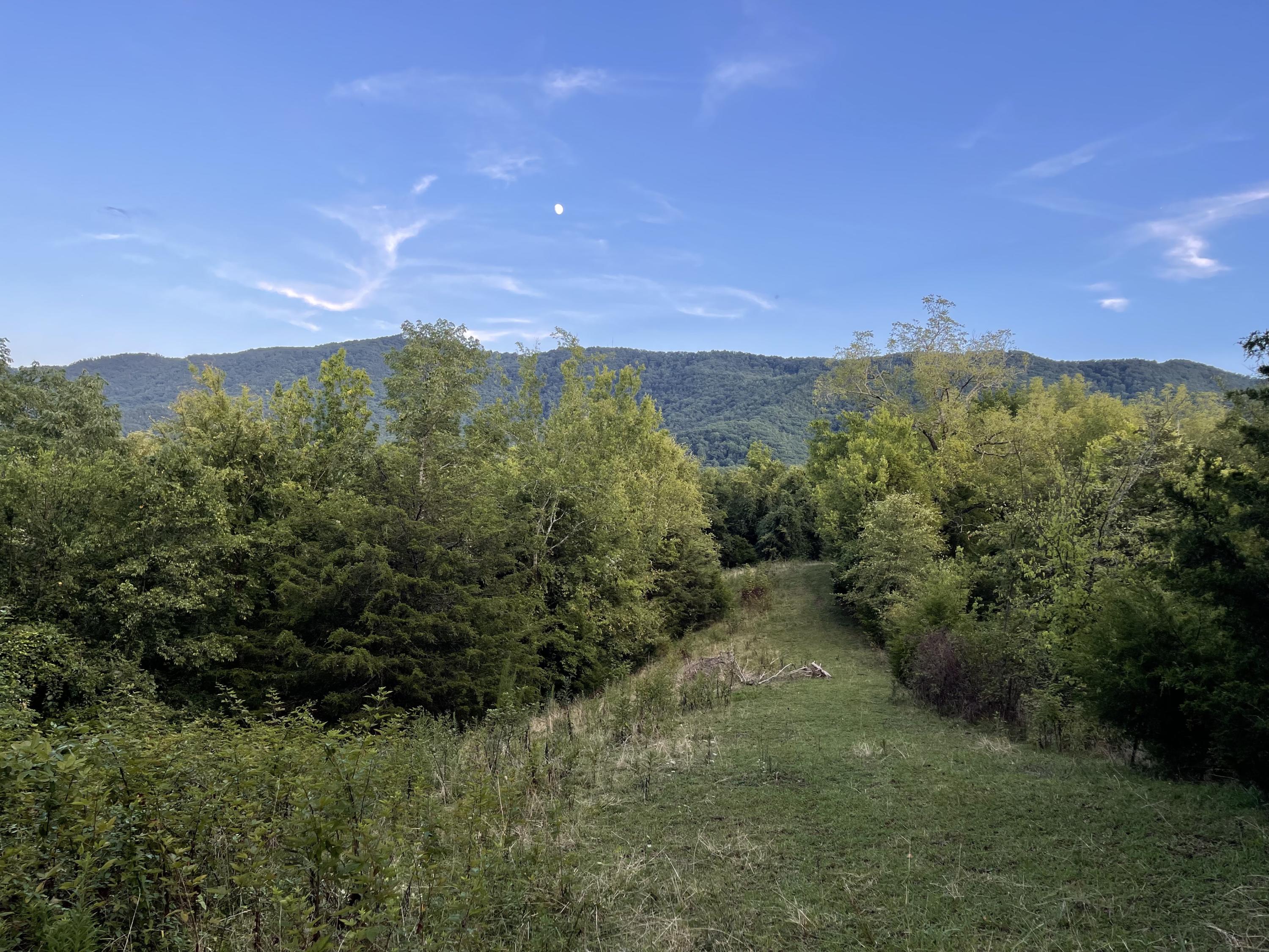 0 Old Chilhowee Road Seymour, TN 37865 - Photo 30 of 34 Back to front view IMG_1405