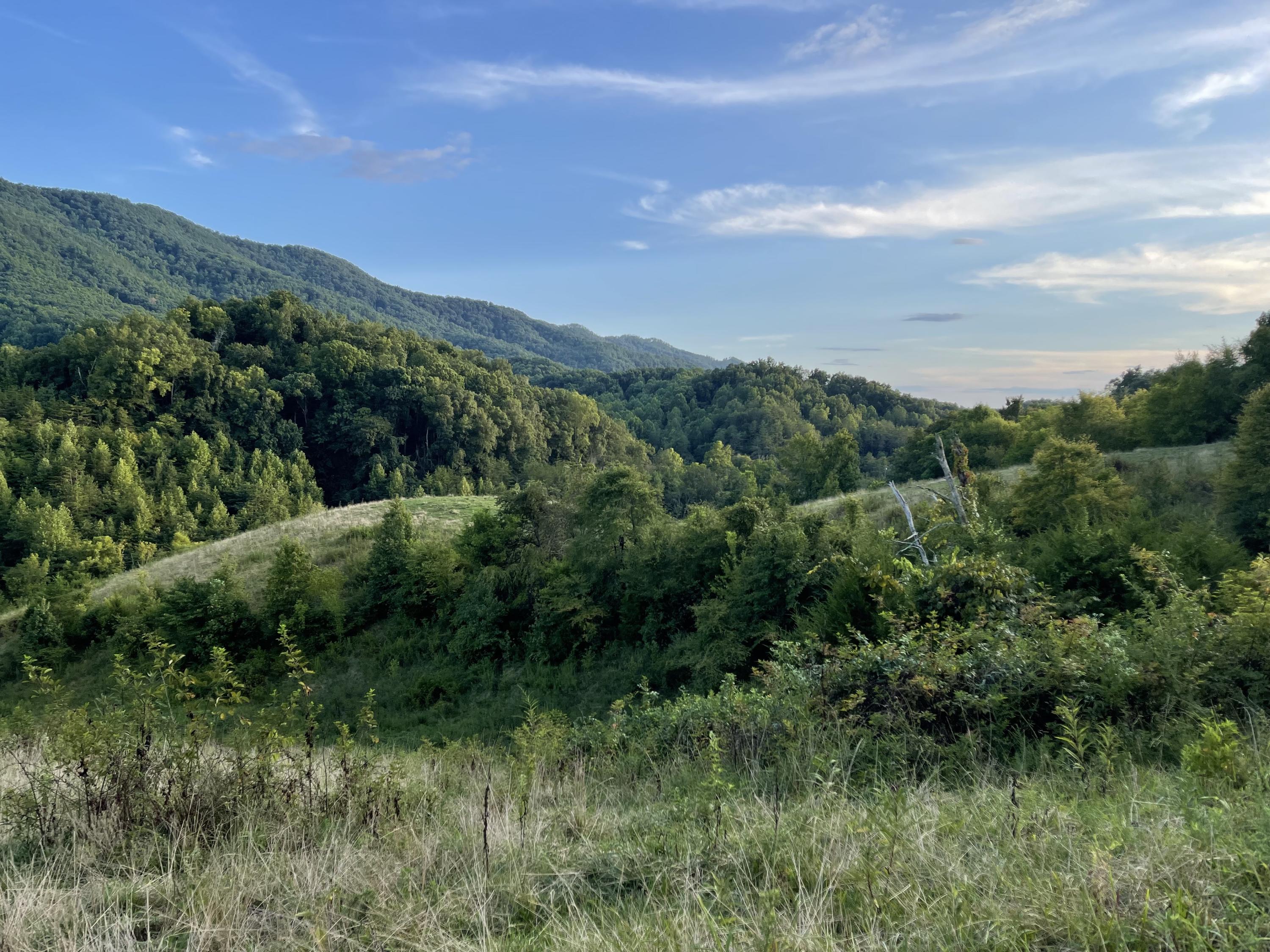 0 Old Chilhowee Road Seymour, TN 37865 - Photo 3 of 34 From side looking toward Townsend IMG_13