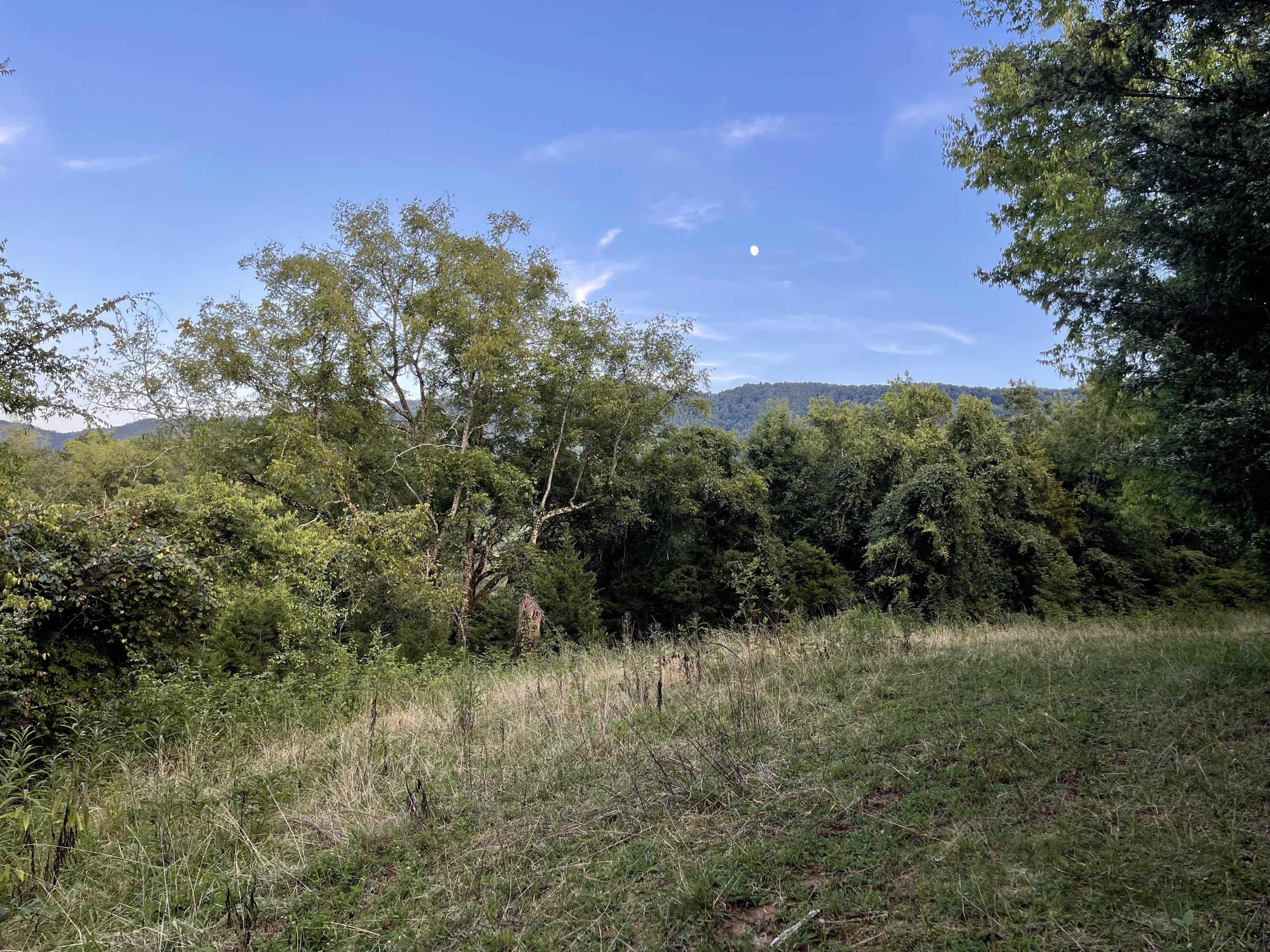 0 Old Chilhowee Road Seymour, TN 37865 - Photo 31 of 34 Left Side View 2 IMG_1406