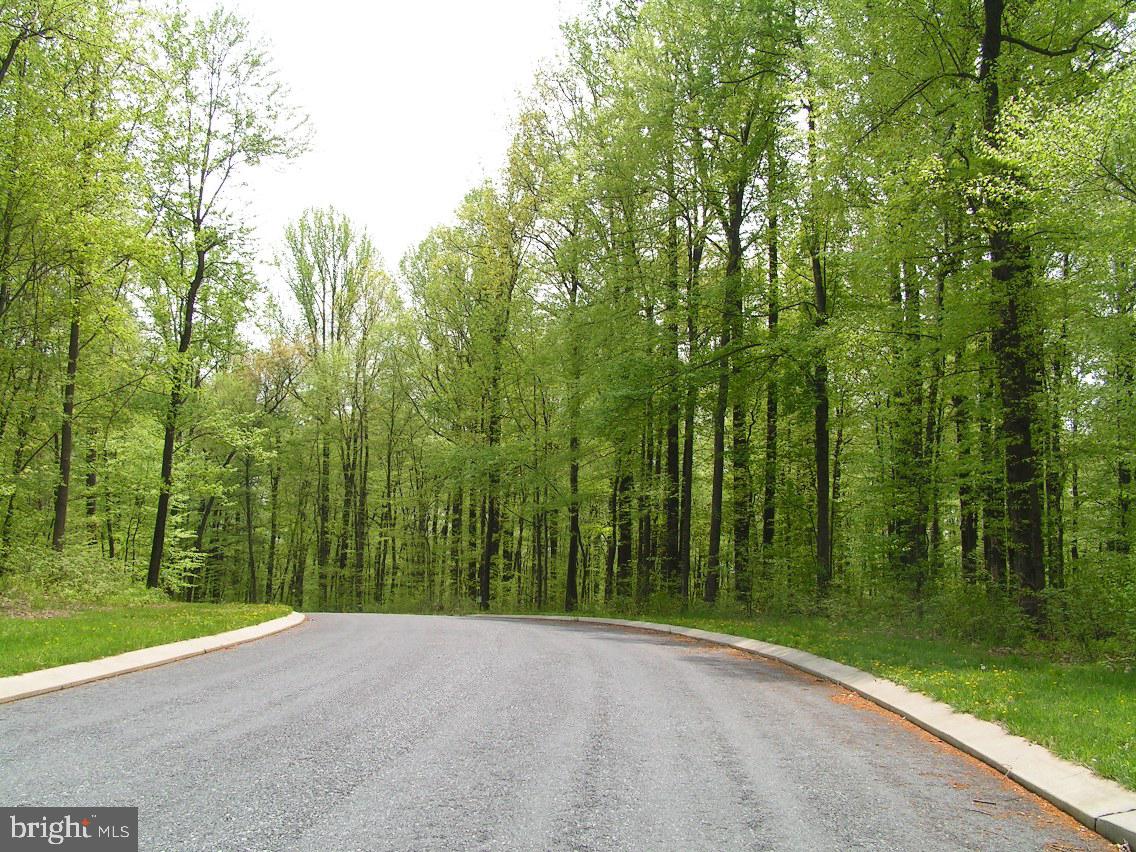 Lot 5 Hummingbird Way Palmyra, PA 17078 - Photo 2 of 4 a view of a street view