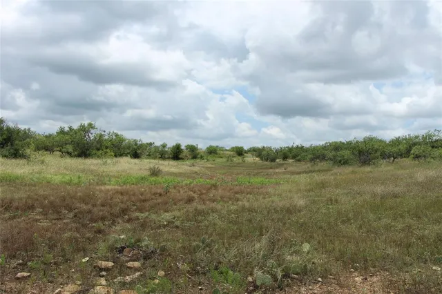 a view of a big yard with lots of green space