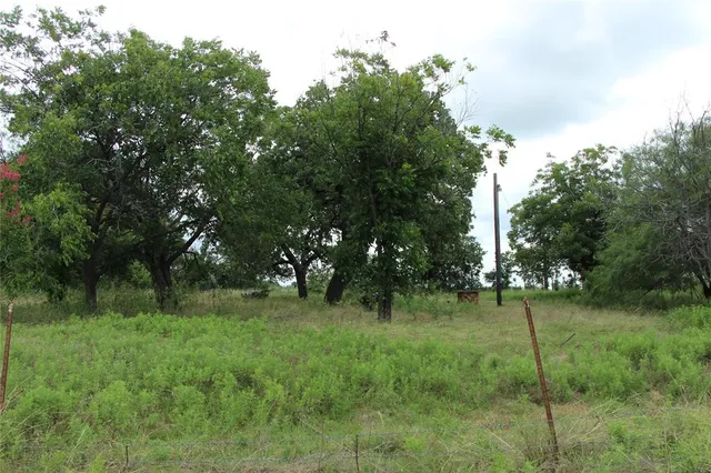 a view of a yard with a tree