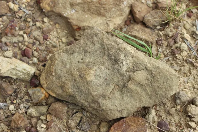 a view of a lake with green field and trees