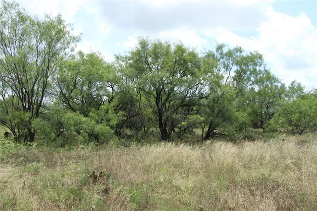 a view of green field
