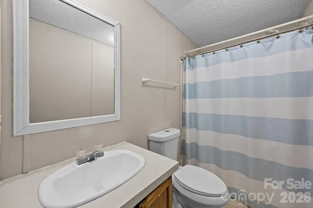 a bathroom with a sink a toilet and shower curtain