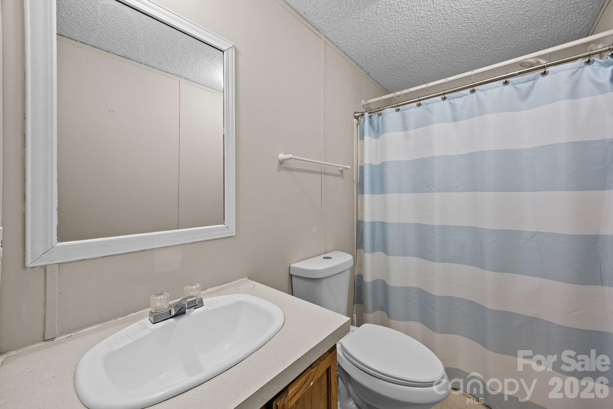 5819 Mt Gallant Road Rock Hill, SC 29732 - Photo 9 of 20 a bathroom with a sink a toilet and shower curtain