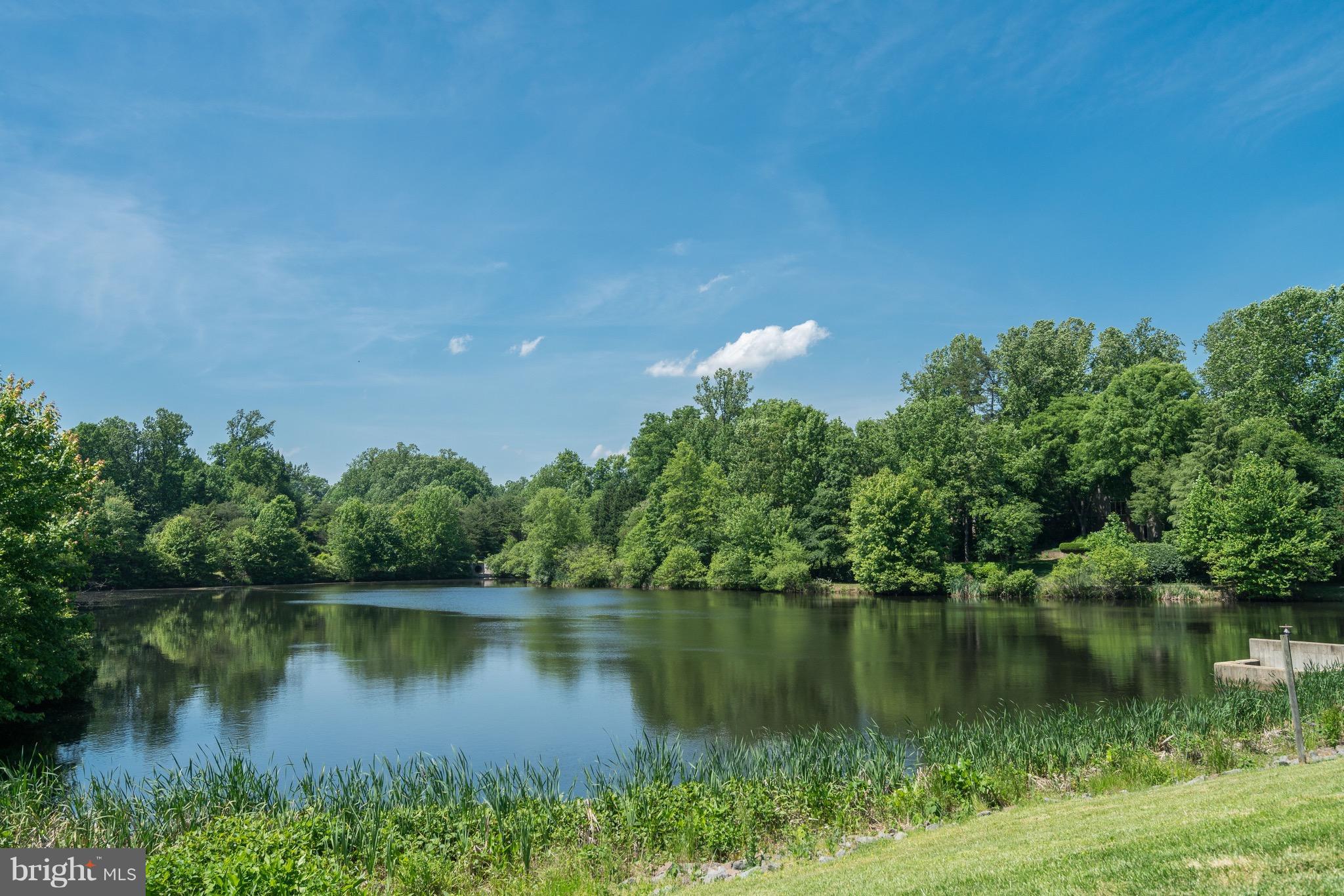 1211 Weatherstone Court Reston, VA 20194 - Photo 30 of 30 a view of a lake
