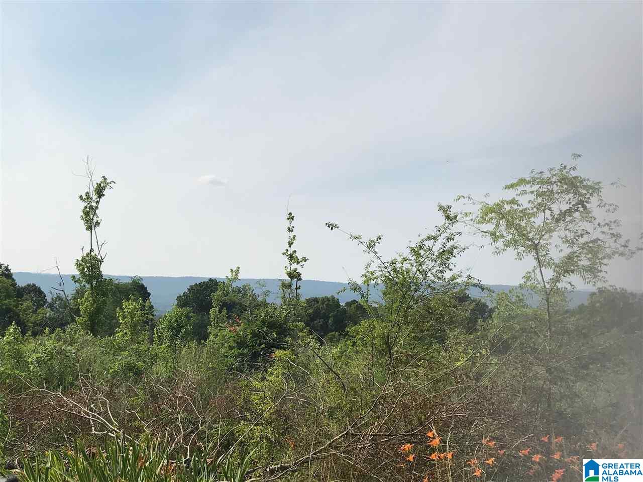 5827 Chandler Mountain Road Steele, AL 35987 - Photo 8 of 8