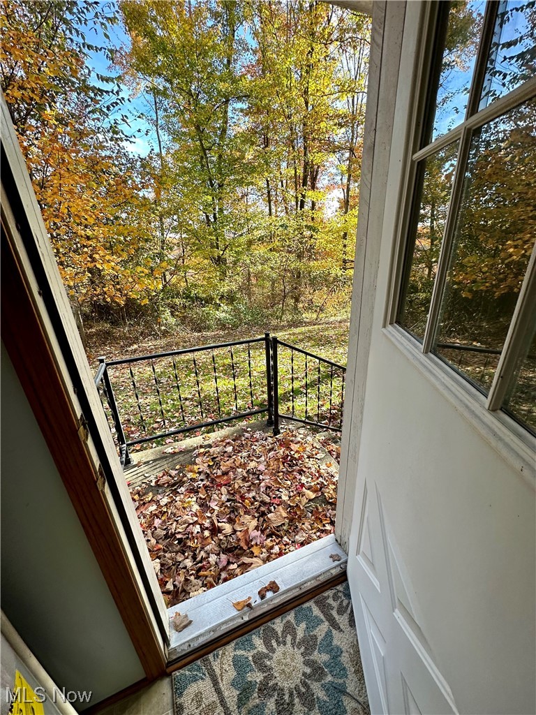 9400 Chalon Road Scio, OH 43988 - Photo 17 of 43 back door