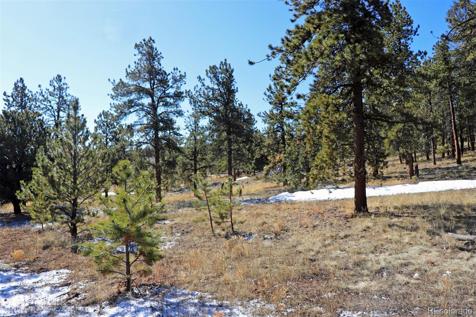 4441 Campfire Road Hartsel, CO 80449 - Photo 1 of 15 a view of snow on a road with trees in the background