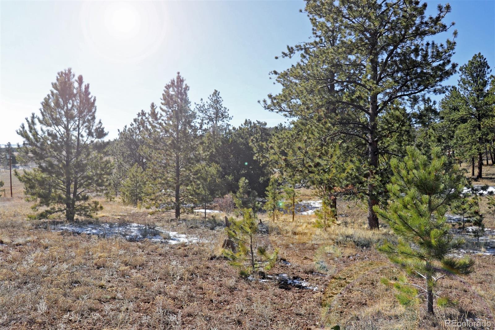 4441 Campfire Road Hartsel, CO 80449 - Photo 11 of 15 a view of empty yard