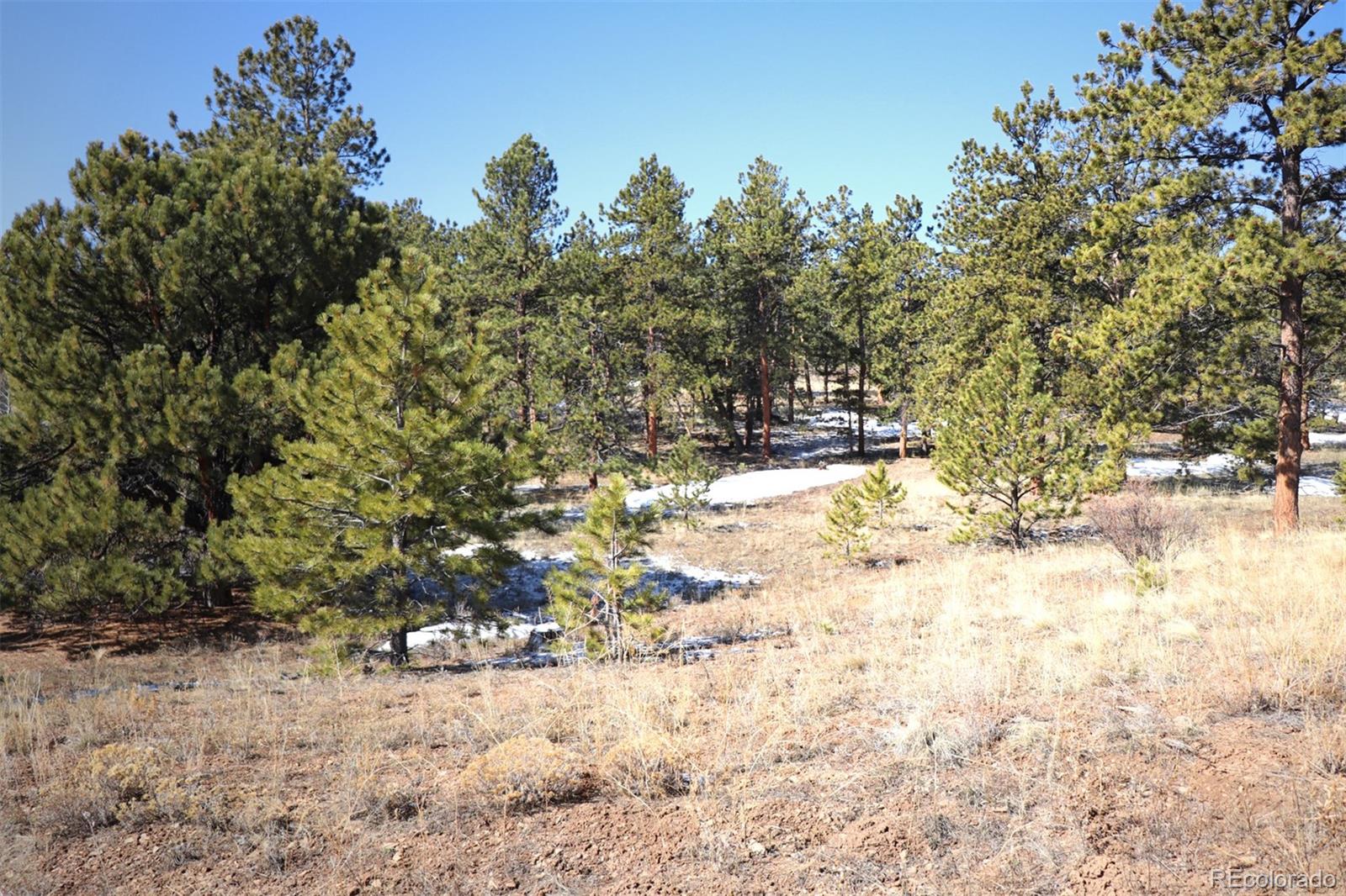 4441 Campfire Road Hartsel, CO 80449 - Photo 12 of 15 a view of a yard covered with snow